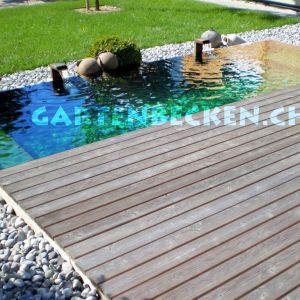 Gartenbecken 071
